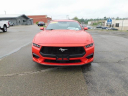 Thumbnail image of 2024 Ford Mustang at Wetzel Ford