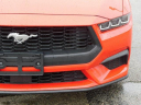 Thumbnail image of 2024 Ford Mustang at Wetzel Ford