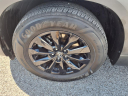 Thumbnail image of 2024 Mazda CX-50 at Pogue Chevrolet Buick Gmc