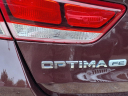 Thumbnail image of 2016 Kia Optima at Autoland Usa