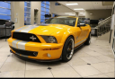 Thumbnail image of 2007 Ford Shelby GT500 at Bob Allen Ford