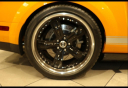 Thumbnail image of 2007 Ford Shelby GT500 at Bob Allen Ford