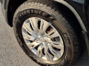 Thumbnail image of 2011 Honda Element at Serra Buick Gmc Champaign