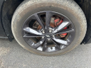 Thumbnail image of 2021 Dodge Charger at Hamilton Honda