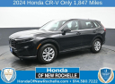 Thumbnail image of 2024 Honda CR-V at Honda of New Rochelle