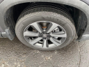 Thumbnail image of 2025 Honda Pilot at Cawood Honda