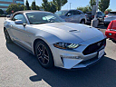 Thumbnail image of 2019 Ford Mustang at Dublin Kia