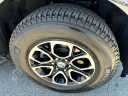 Thumbnail image of 2024 Ford Expedition at O'Connor's Auto Outlet