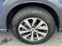 Thumbnail image of 2023 Subaru Outback at South Shore Subaru