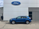 Thumbnail image of 2024 Ford Edge at Sugar Loaf Ford USED