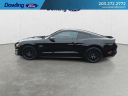 Thumbnail image of 2022 Ford Mustang at Dowling Ford