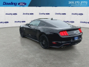 Thumbnail image of 2022 Ford Mustang at Dowling Ford