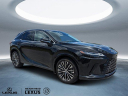 Thumbnail image of 2023 Lexus RX 350 at Hilton Head Lexus