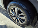 Thumbnail image of 2022 Nissan Pathfinder at Nissan 46