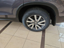 2021 Honda Pilot EX-L at D & P Auto Sales