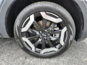 Thumbnail image of 2023 Kia Telluride at Piazza Acura Honda of Reading