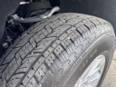 Thumbnail image of 2024 Chevrolet Silverado 1500 at WORKTRUX LLC