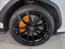 Thumbnail image of 2019 Lamborghini Urus at MercedesBenzofDaytonaBeach USED