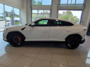 Thumbnail image of 2019 Lamborghini Urus at MercedesBenzofDaytonaBeach USED