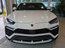 Thumbnail image of 2019 Lamborghini Urus at MercedesBenzofDaytonaBeach USED