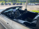 2019 Ford Mustang GT Premium at JEREMY'S AUTO SALES INC