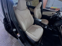 Thumbnail image of 2019 Toyota Prius at Toyota Scion of Tampa Bay