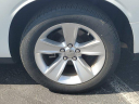 Thumbnail image of 2023 Dodge Challenger at Orlando Dodge - New
