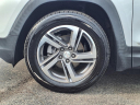 Thumbnail image of 2021 GMC Terrain at Borcherding Buick Gmc