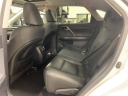 Thumbnail image of 2022 Lexus RX 350 at Lexus of Southampton