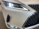 Thumbnail image of 2022 Lexus RX 350 at Lexus of Southampton