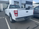 Thumbnail image of 2023 Ford F-150 at GengrasFordLincoln NEW