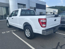 Thumbnail image of 2023 Ford F-150 at GengrasFordLincoln NEW