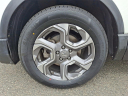 Thumbnail image of 2019 Honda CR-V at Lynnes Nissan City Inc