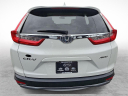 Thumbnail image of 2019 Honda CR-V at Lynnes Nissan City Inc