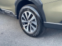 Thumbnail image of 2025 Subaru Outback at Friendship Subaru Of Beckley