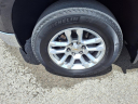 Thumbnail image of 2022 Chevrolet Silverado 1500 at Pogue Chevrolet Buick Gmc