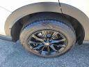 Thumbnail image of 2023 Honda CR-V Hybrid at The New Babylon Honda