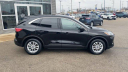 Thumbnail image of 2021 Ford Escape Hybrid at Les Stumpf Ford - New and Used
