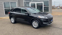 Thumbnail image of 2021 Ford Escape Hybrid at Les Stumpf Ford - New and Used