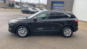 Thumbnail image of 2021 Ford Escape Hybrid at Les Stumpf Ford - New and Used