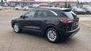 Thumbnail image of 2021 Ford Escape Hybrid at Les Stumpf Ford - New and Used