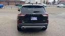 Thumbnail image of 2021 Ford Escape Hybrid at Les Stumpf Ford - New and Used