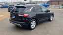 Thumbnail image of 2021 Ford Escape Hybrid at Les Stumpf Ford - New and Used