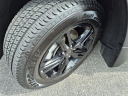 Thumbnail image of 2022 GMC Terrain at Hove  Buick / Gmc