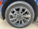 Thumbnail image of 2022 Chevrolet Equinox at Bergstrom Chevrolet GMC Cadillac of Manitowoc