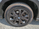 Thumbnail image of 2020 Subaru Forester at Jenkins Subaru of Ocala