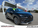 Thumbnail image of 2021 Lexus NX 300 at Wesley Chapel Nissan