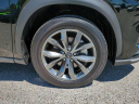 Thumbnail image of 2021 Lexus NX 300 at Wesley Chapel Nissan