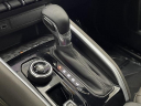 Thumbnail image of 2023 Chevrolet Colorado at DePaula Chevrolet