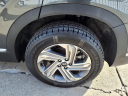 Thumbnail image of 2023 Hyundai SANTA FE at A & B Motors